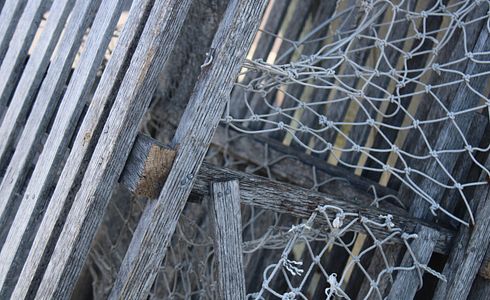 Angelknoten für Einsteiger: Die besten Methoden, um sicherzustellen, dass der Fisch nicht entkommt