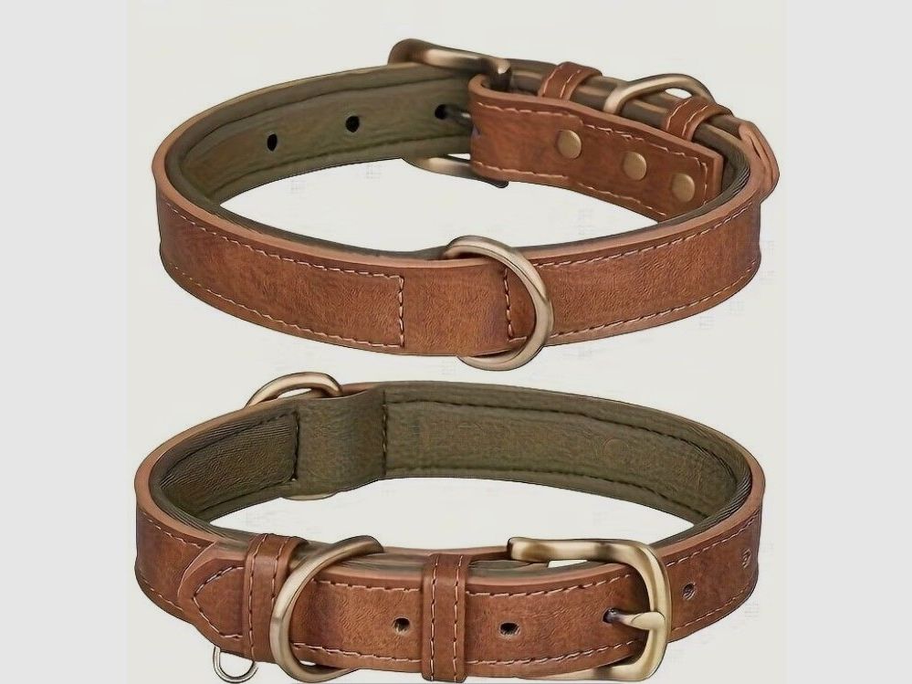 Collar para perros - aspecto de cuero - verde