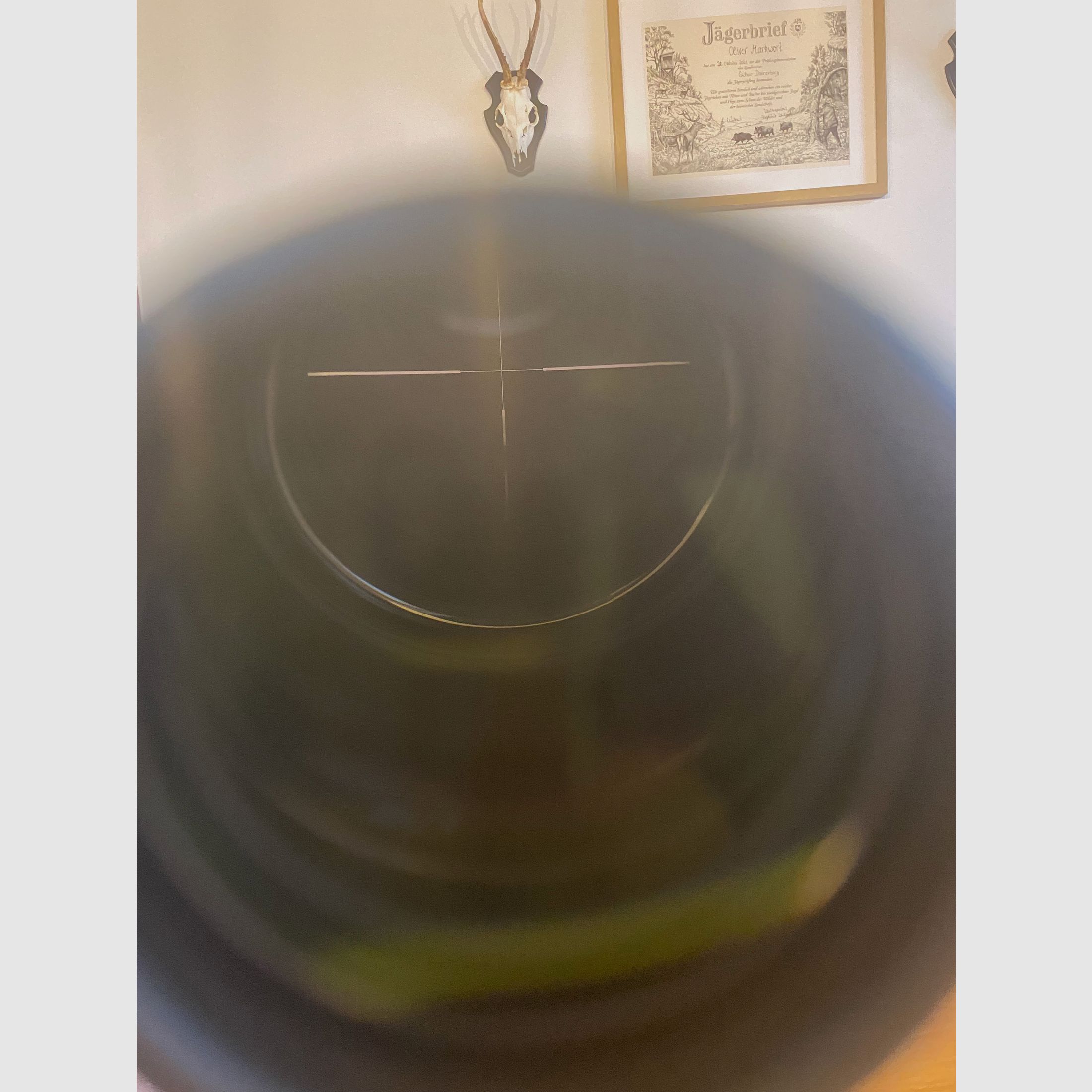 Swarovski Z4i 2.5-10 x56