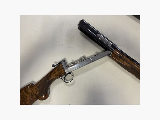 Cosmi Kal.20
