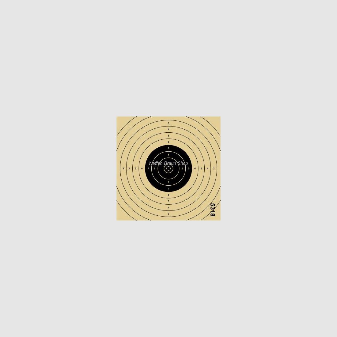 Einsteckspiegel LP passend zu 20/4Format. 13,5 x 13,5 cm, fortlaufend