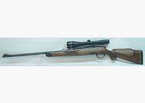 Steyr Mannlicher S +Zeiss Diav.D2,5-