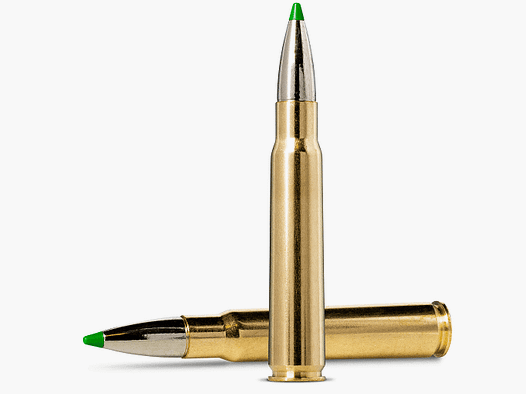 Norma .308 WIN ECOSTRIKE 9,7 g 150 gr - 20 pcs