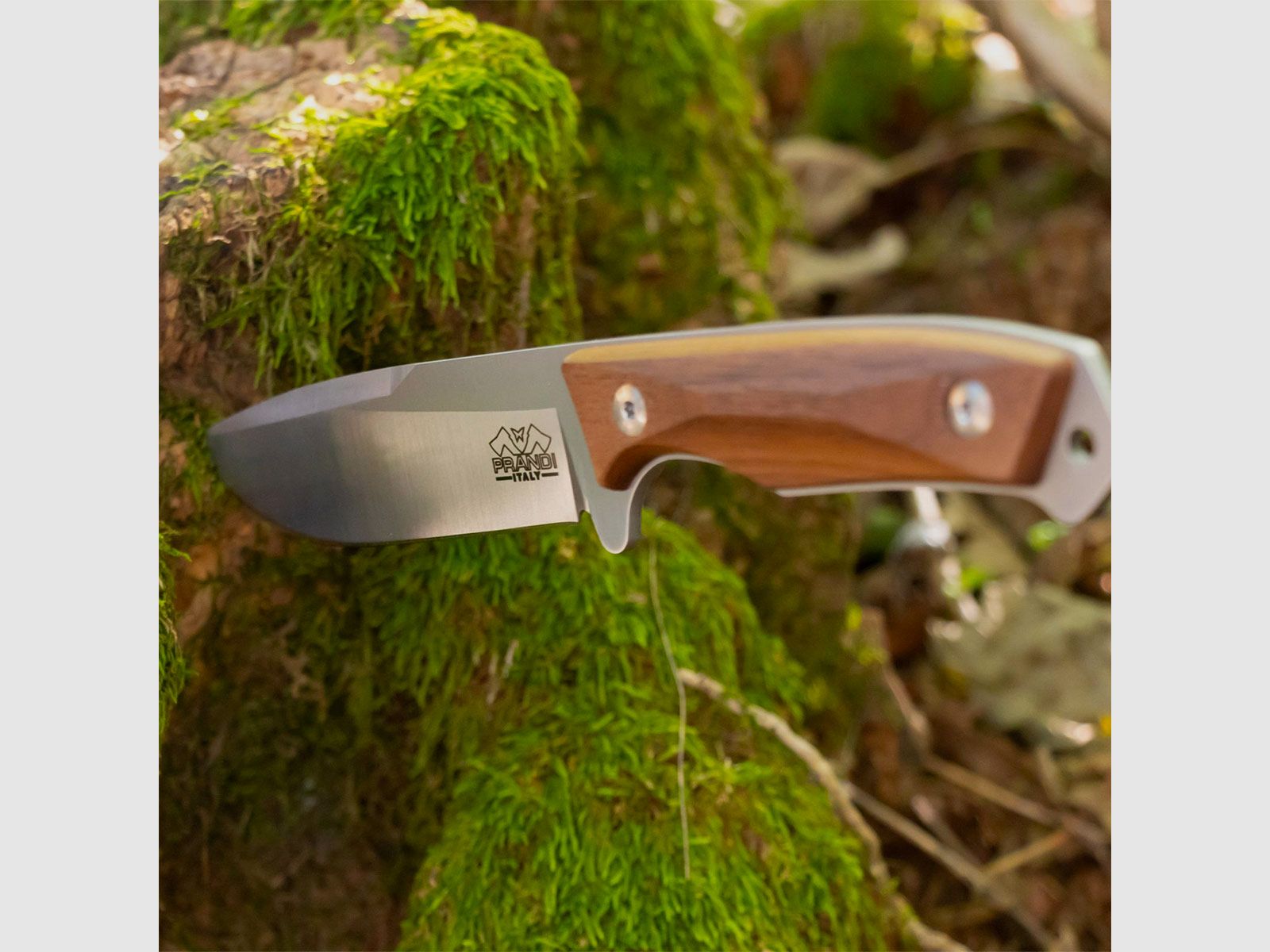 Knife – Prandi – Bushcraft “Cortel” Classic F, image 3 of 3