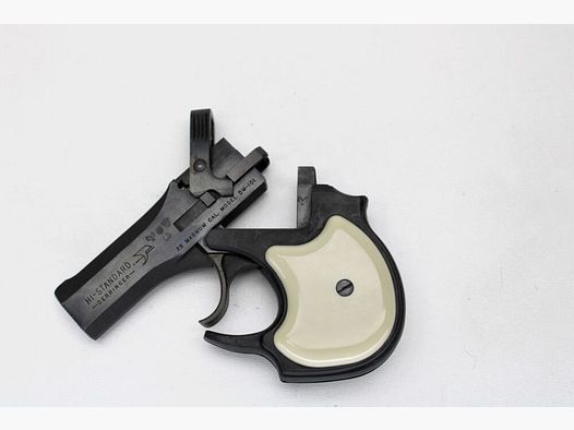 Derringer High Standard DM-101 .22WinMag