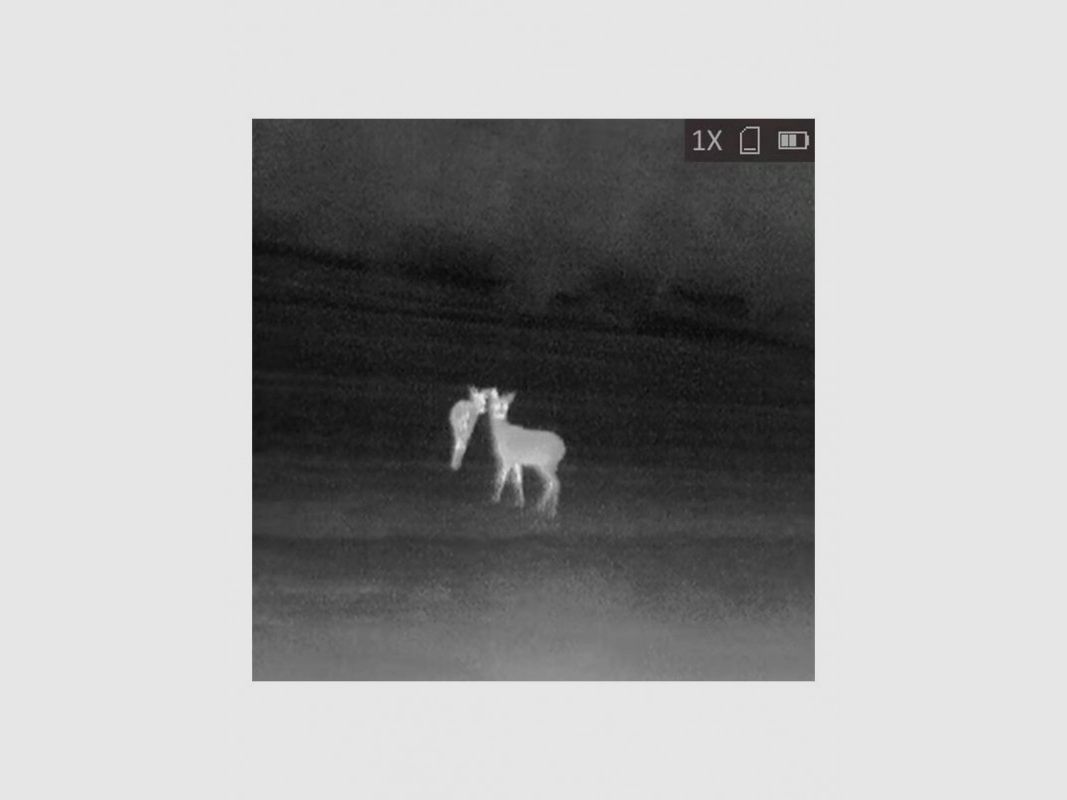 Hikmicro Lynx Pro LH19 2.0 Wärmebildmonokular, Bild 6 von 6