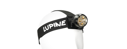 Lupine Lightning Wilma