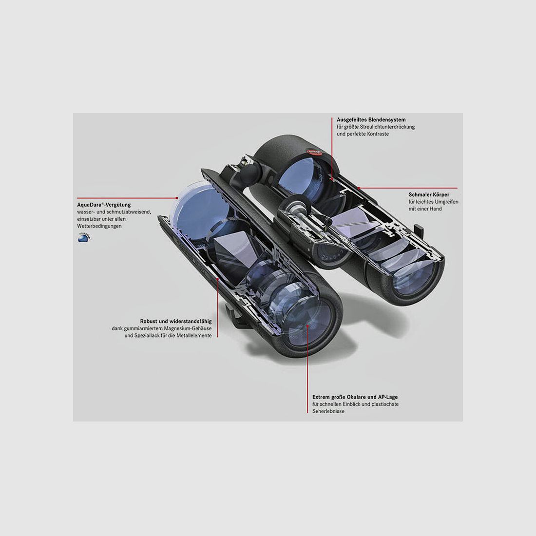 Leica Fernglas Noctivid 10x42 schwarz
