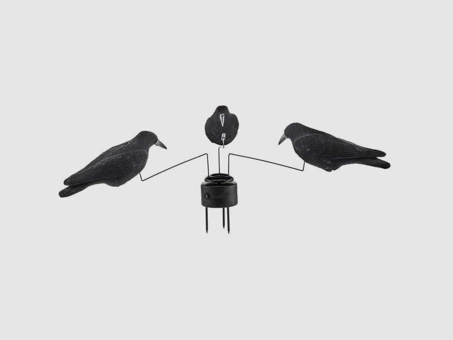 3 Crow Target Stepland