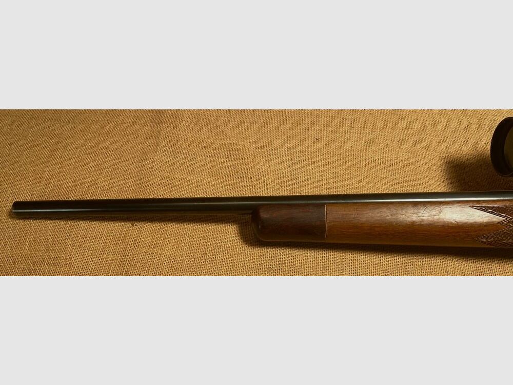 Krico 600 Match de Chasse