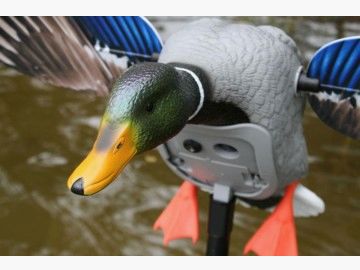 MOJO Elite Series™ KING MALLARD motorbetriebe Lockenten