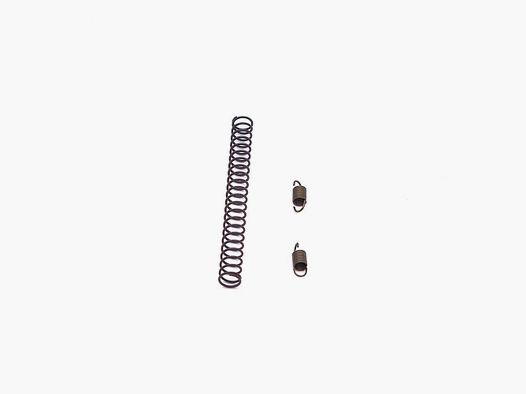 Eemann Tech Competition Spring Kit for CZ P-10