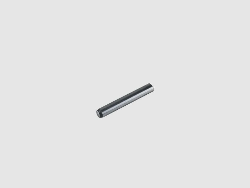 Stift fĂĽr Abzug fĂĽr Schreckschuss Pistole Walther P 22, Ersatzteil