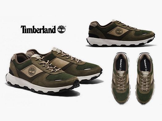 TIMBERLAND Scarpa Winsor Park bassa verde