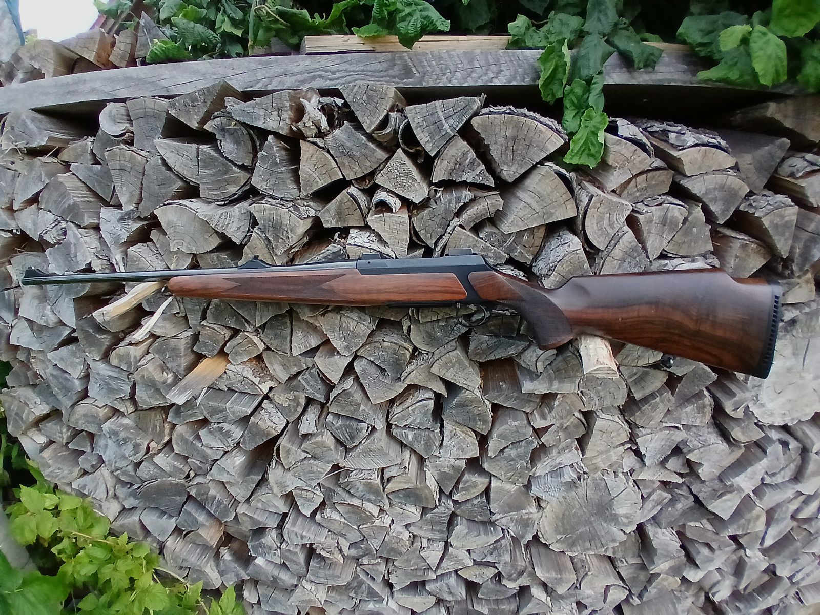 Sauer 200
