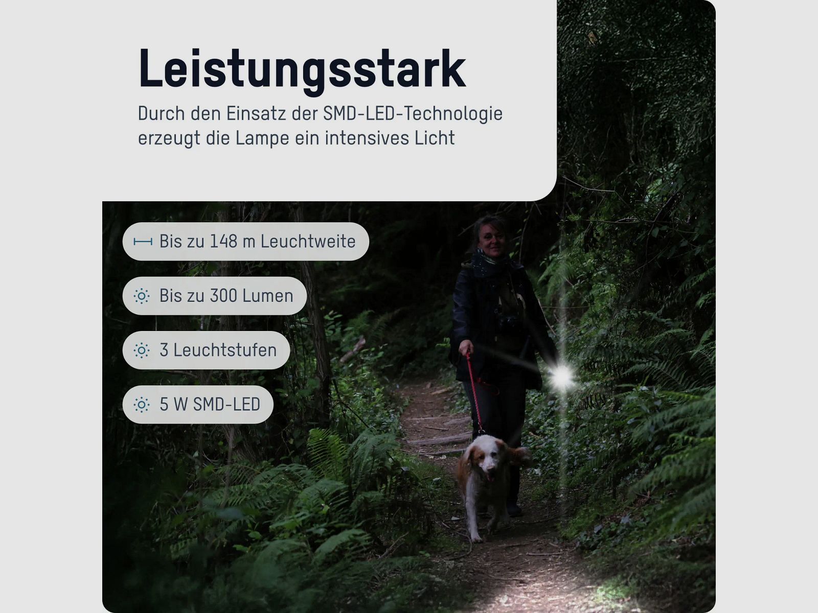 Ansmann Taschenlampe TA300BF