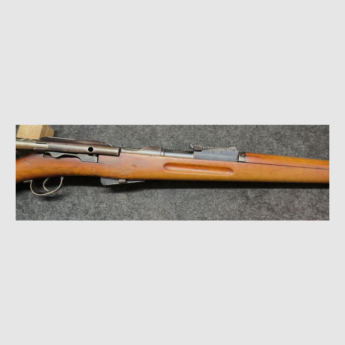 Schmidt Rubin G11
