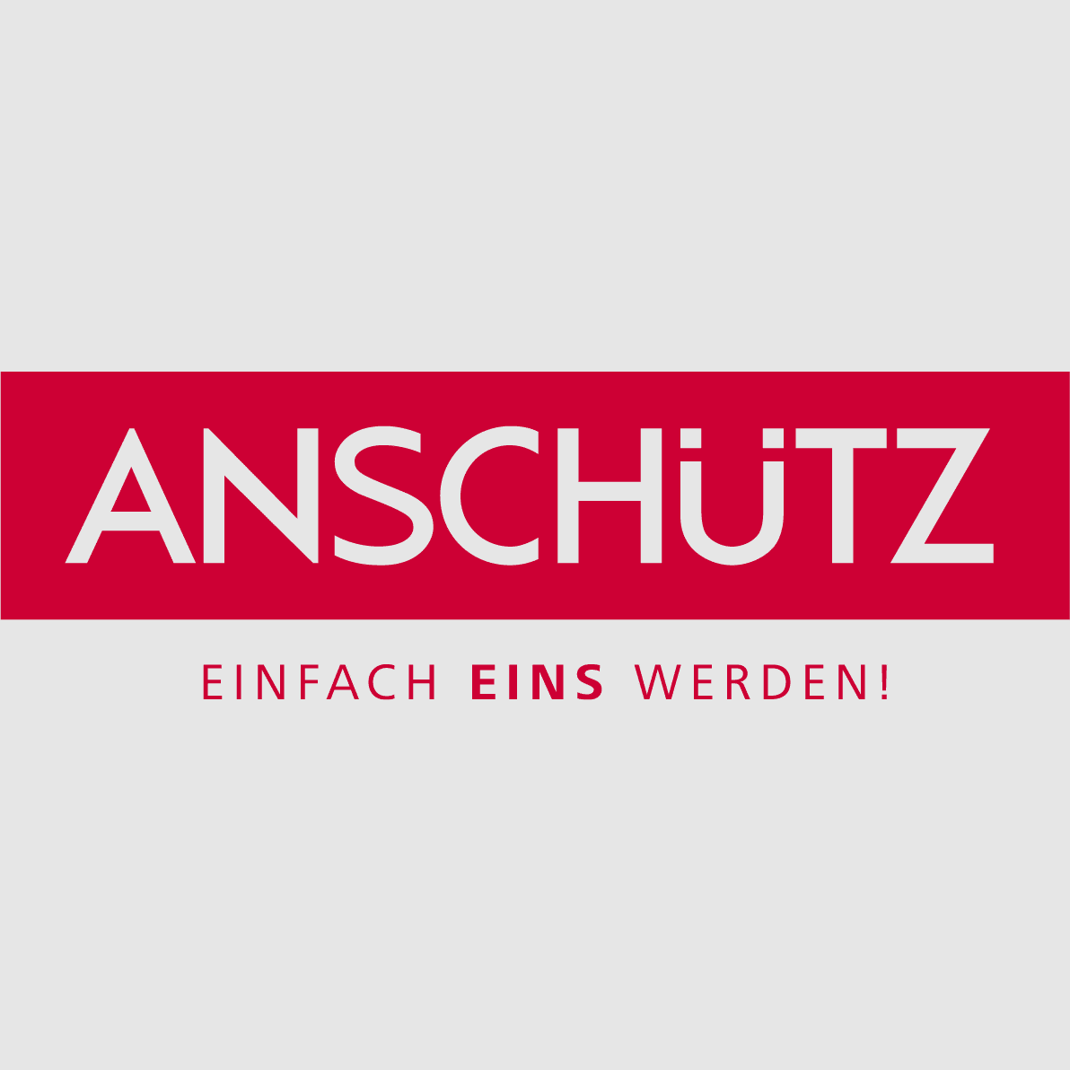 ANSCHUTZ Schlagbolzensatz für Modell 1807-12, Bild 2 von 2