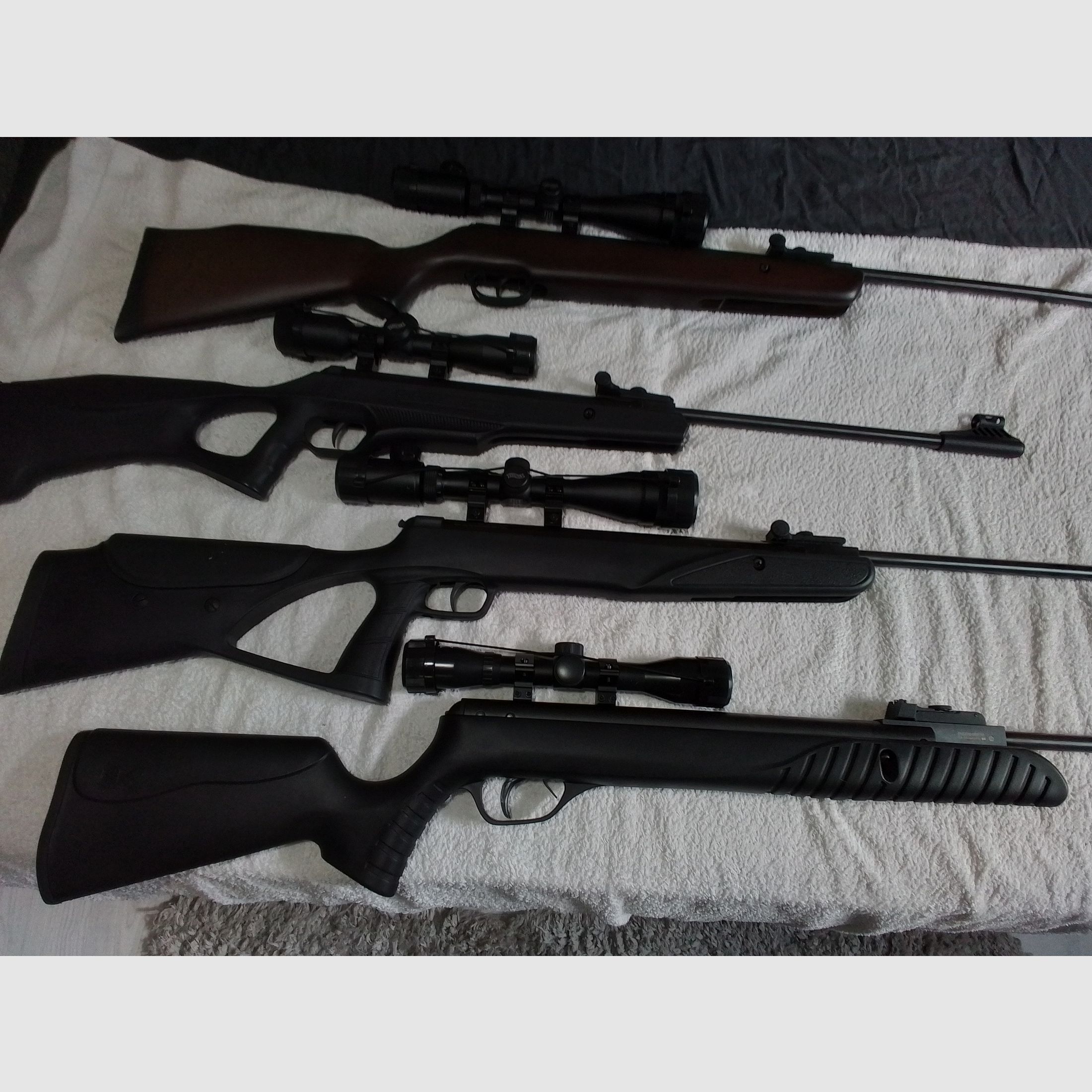 Umarex, Diana, Hämmerli, Gamo, Rügen, Stoeger, Sig Sauer