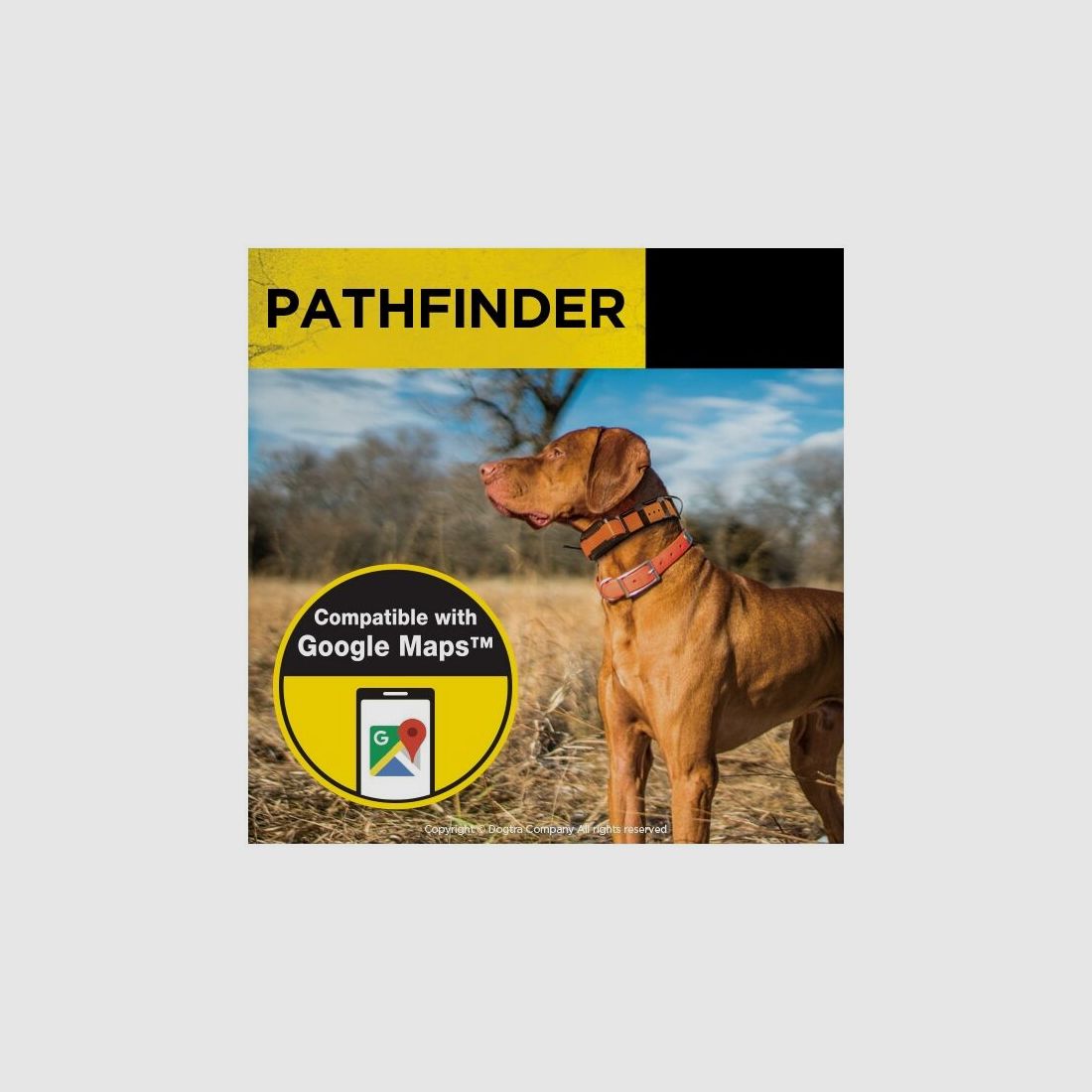 Dogtra GPS Pathfinder
