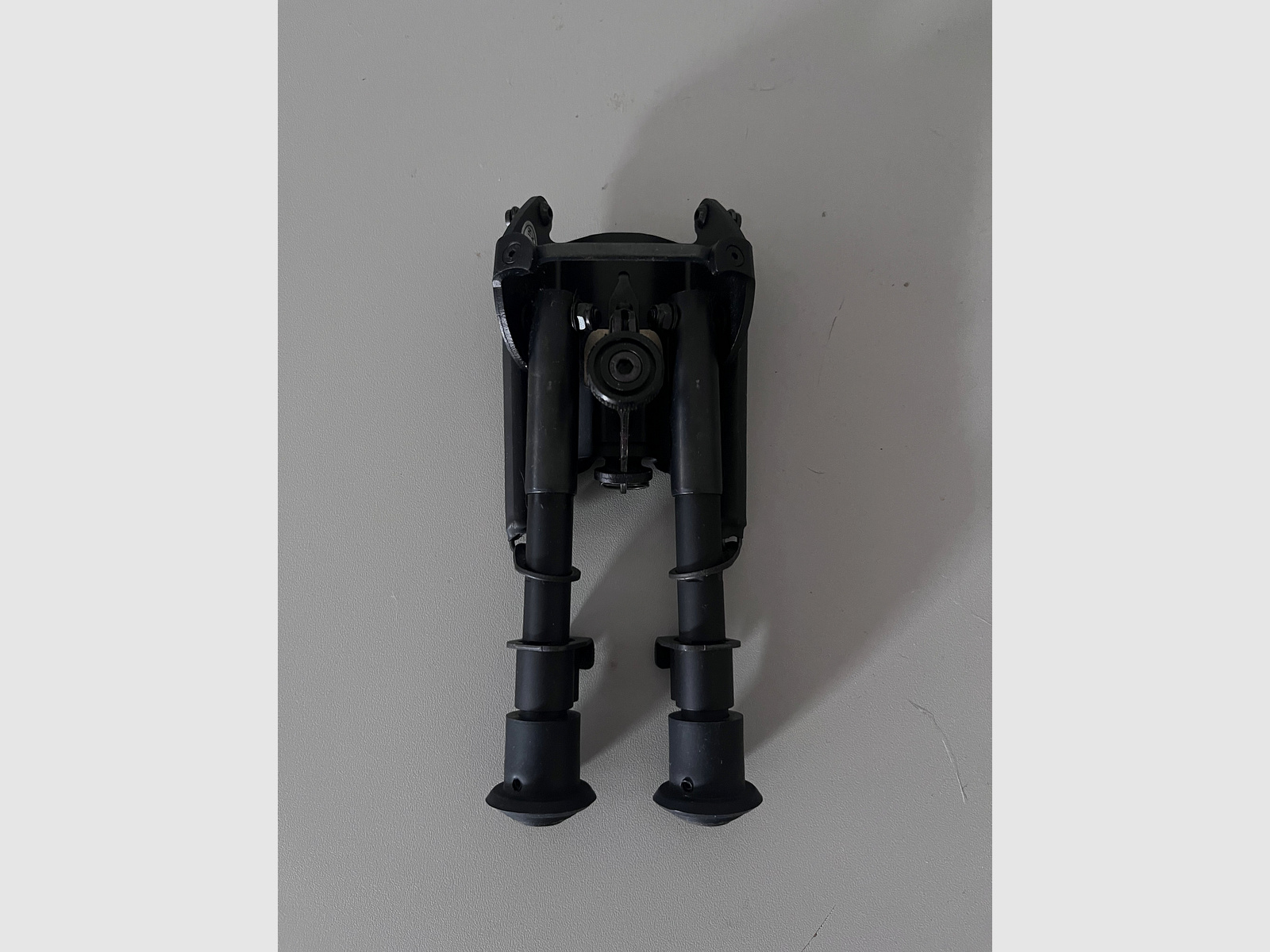 Bipod Hawke