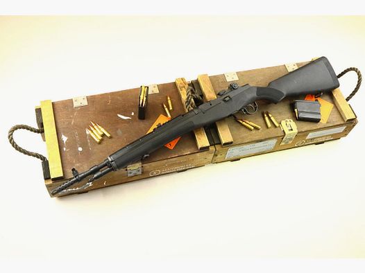 Springfield M1A Scout Squad