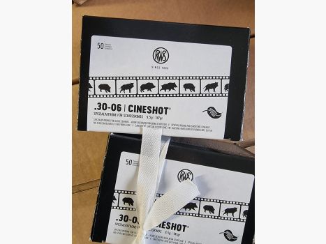 RWS Cineshot .30-06 30 pcs.