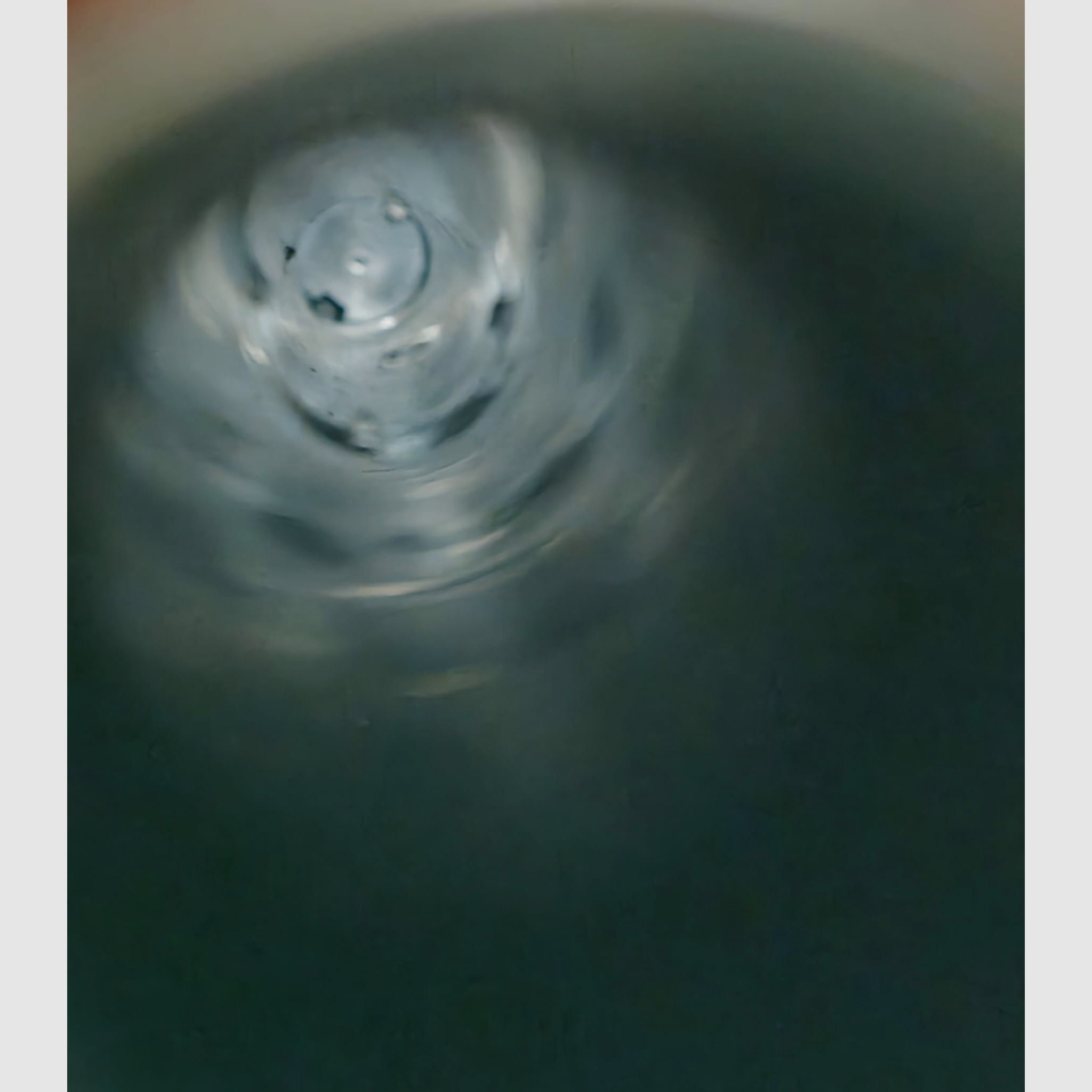 Winchester SX4FDE 12/76 incl. Meopta Meosight IV