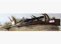 Sauer & Sohn 80 with Zeiss Diavari .300WinMag