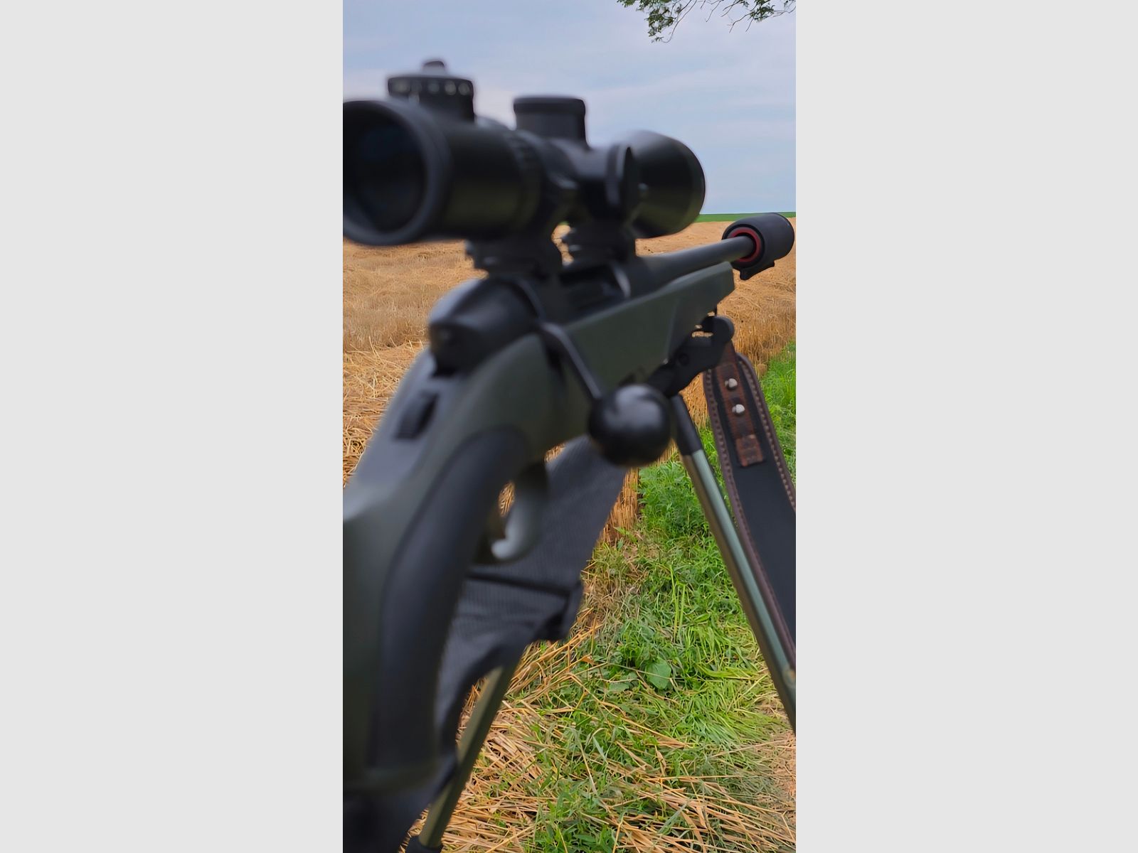 Mannlicher SM12 SX Goiserer