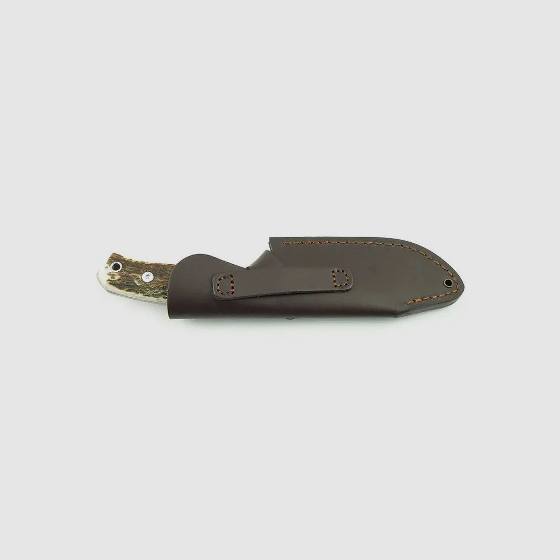 PUMA IP cervato, stag