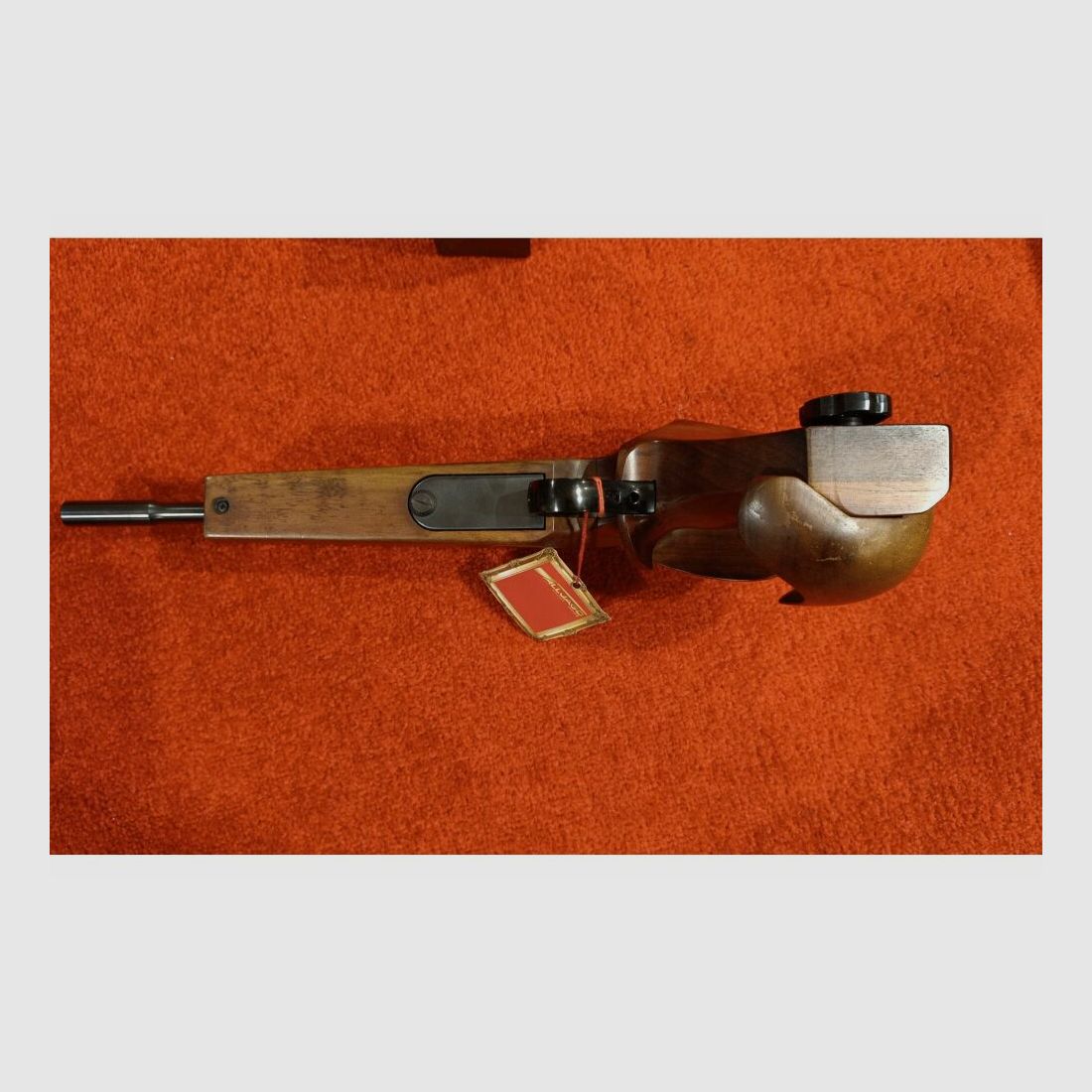 Walther FP .22lr