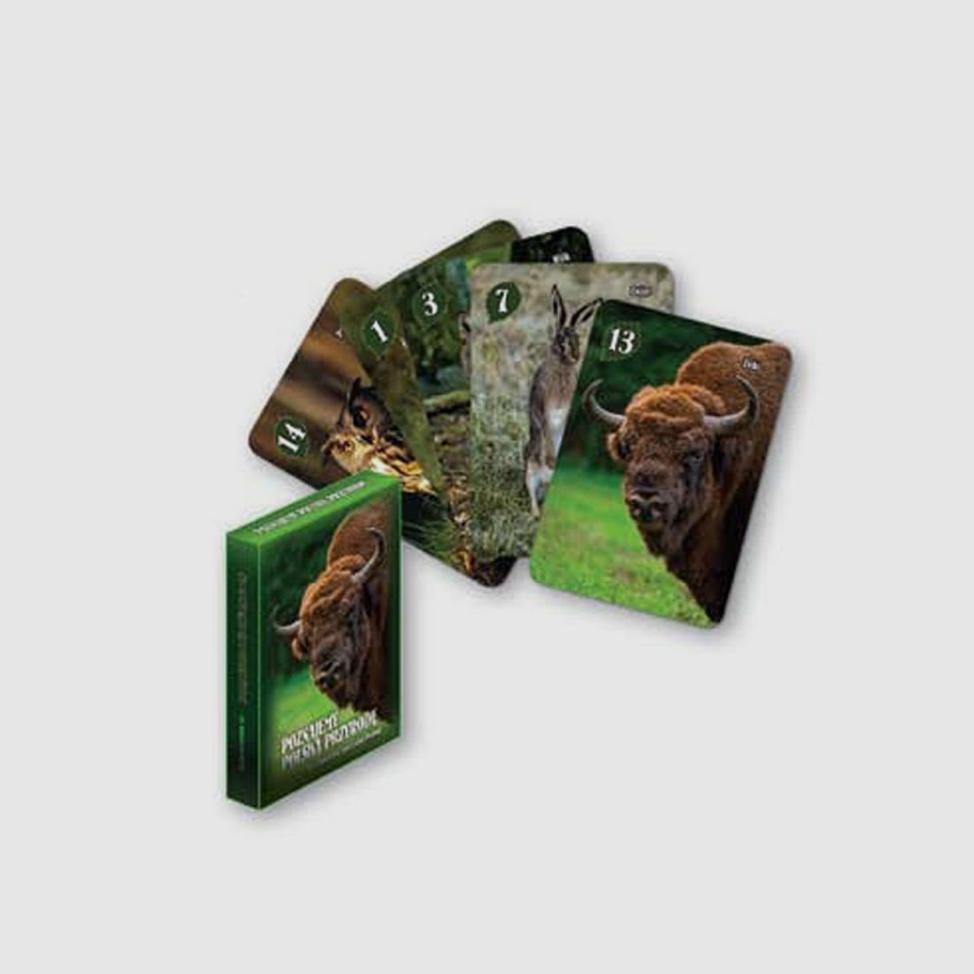 Juego educativo Piotruś – Descubrimos la naturaleza polaca