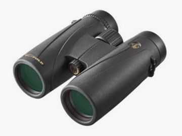 Leupold® BX-4 McKinley™ HD 8x42