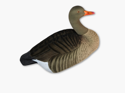 GHG grauwe gans schalen 12st, geflockte grauwe gans lokkers