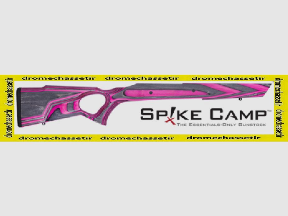 Boyd's Spike Schaft Winchester XPR Lang Roze