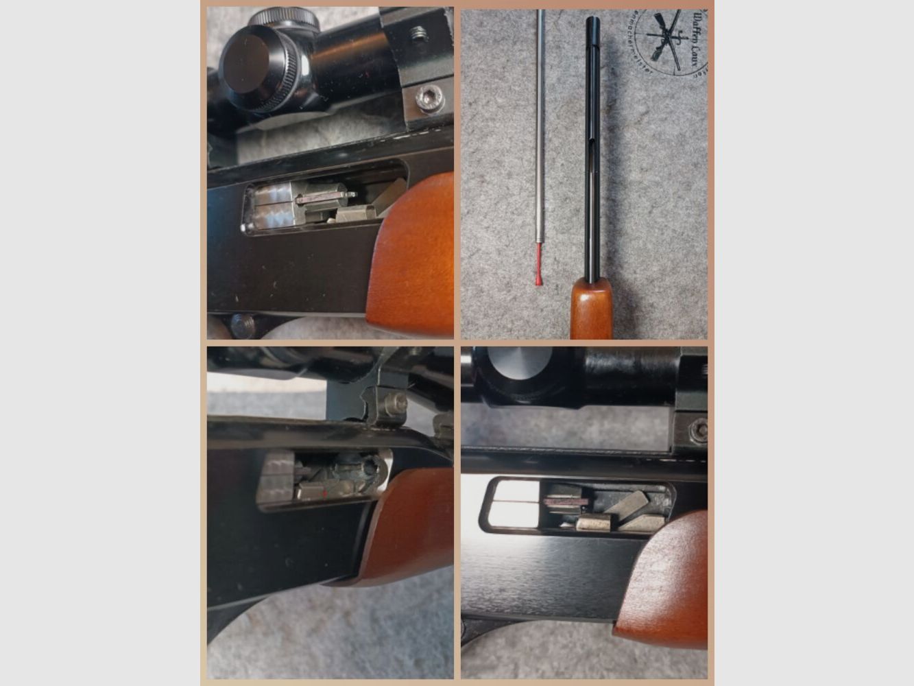 Winchester Mod. 270 Pump Action .22lr. Répétiteur à pompe avec poignée avant