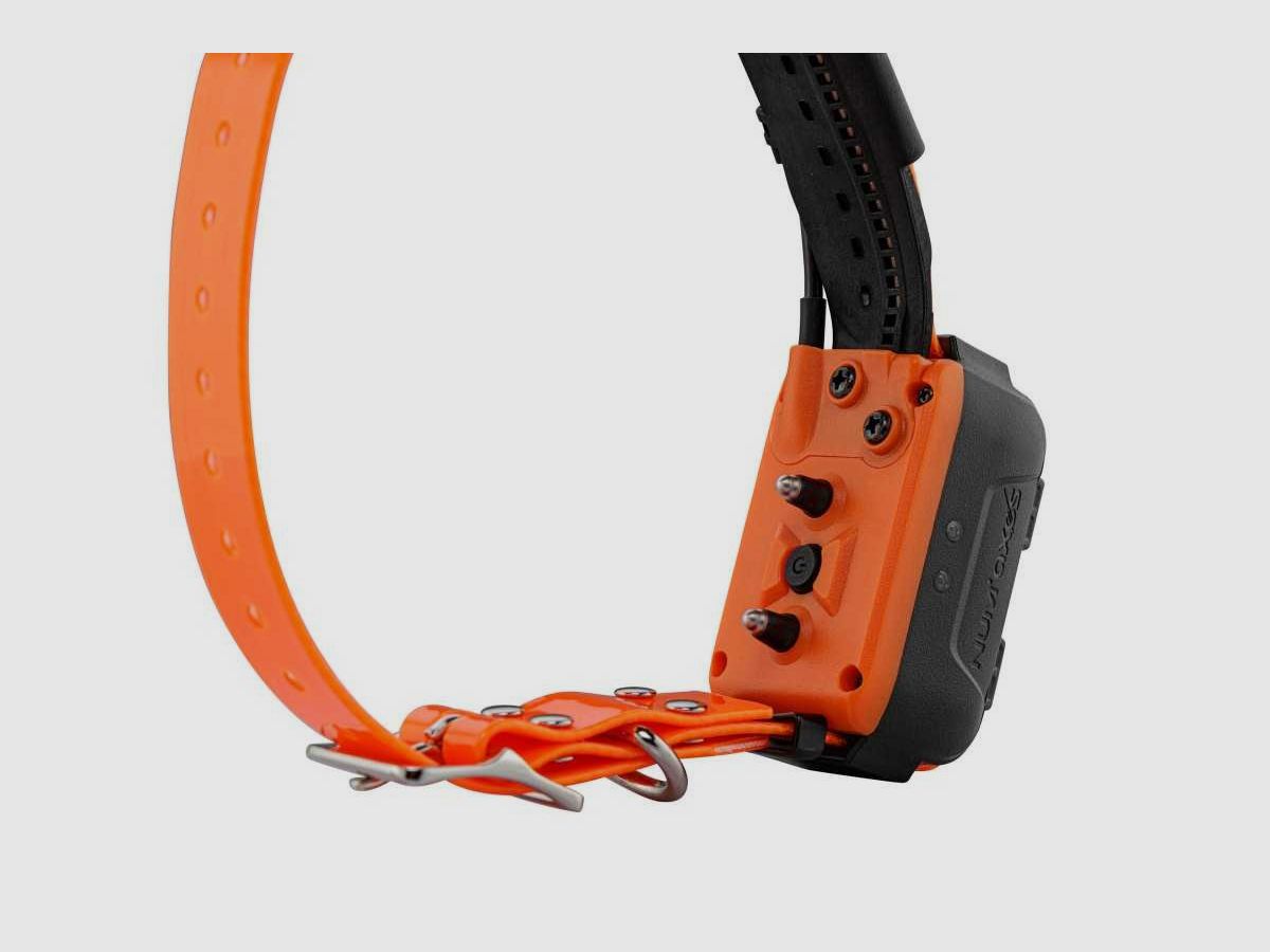 Canicom Collier GPS seul, image 10 sur 10