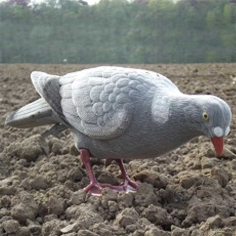 Flocked full-body pigeon – head down