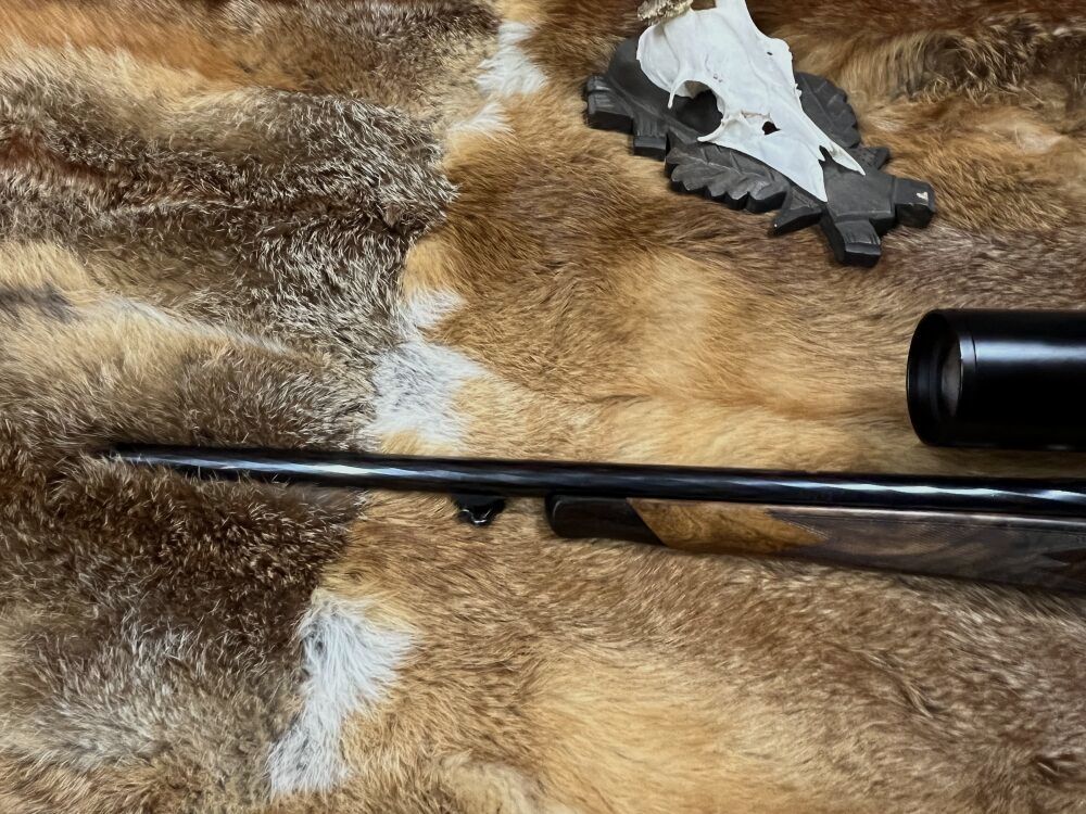 Steyr Mannlicher SBS