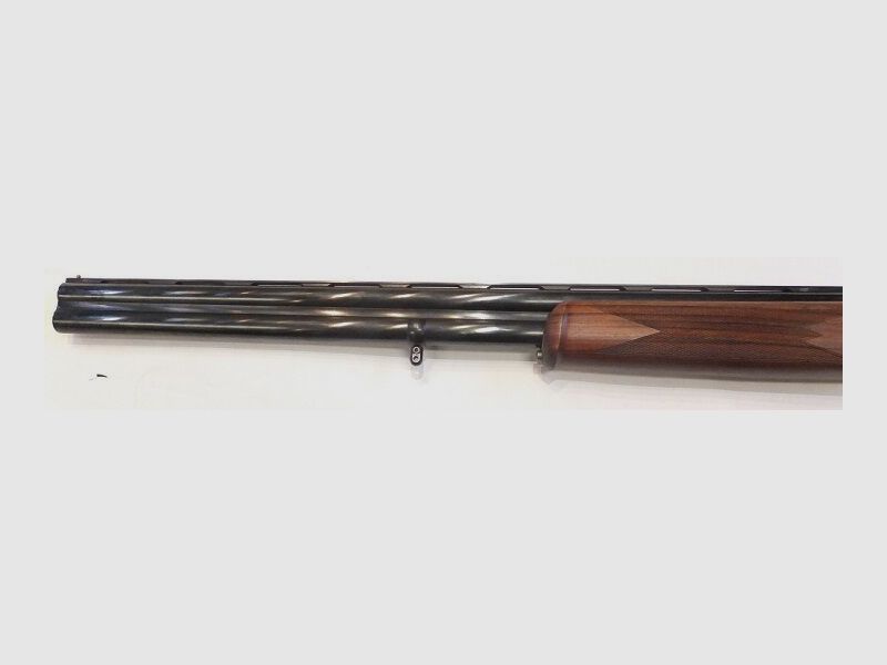 Rottweil used weapon Paragon