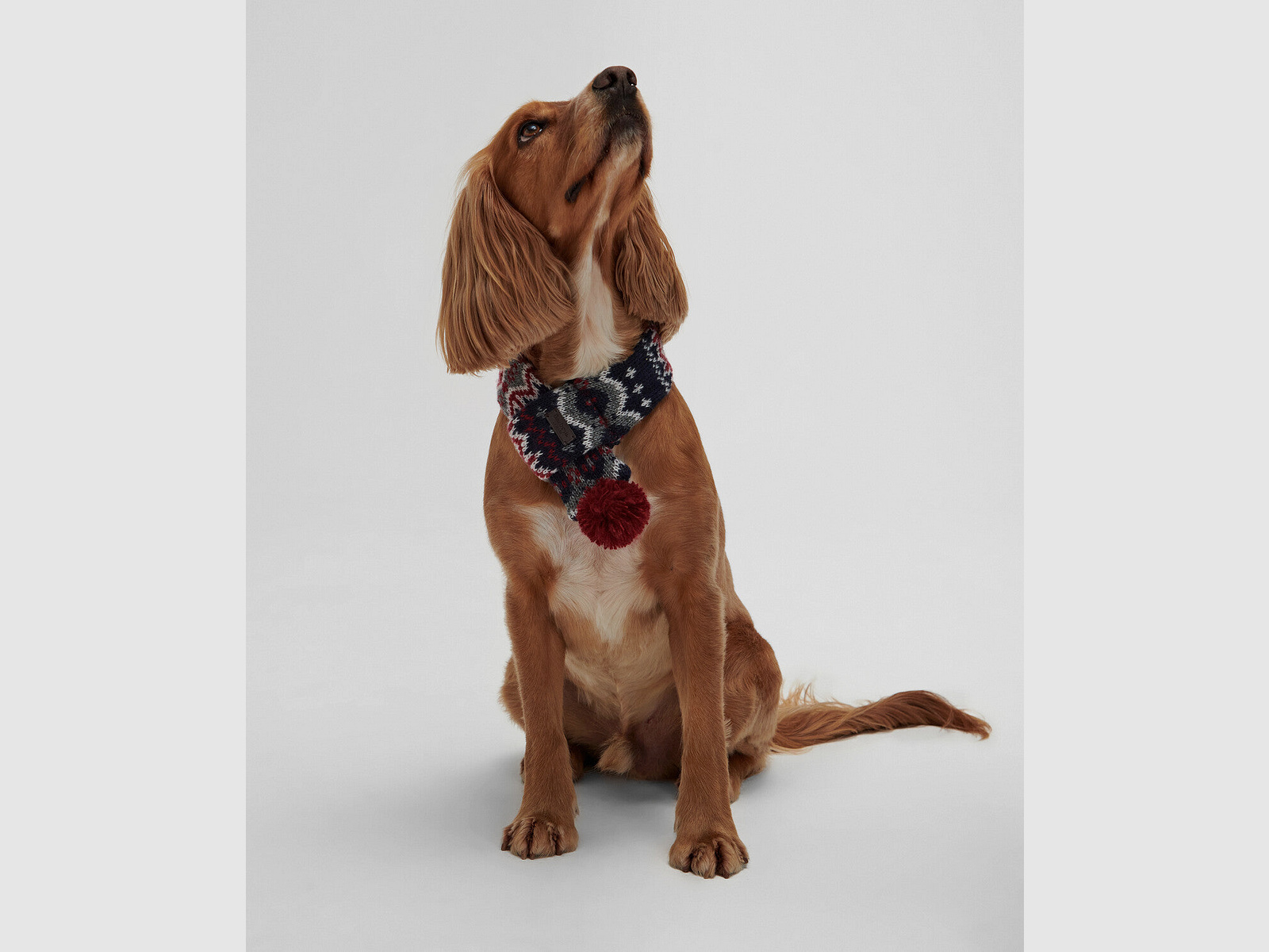 Bufanda para Perros Barbour Fairisle