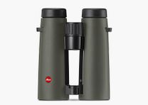 Leica Noctivid 10x42 grün Fernglas