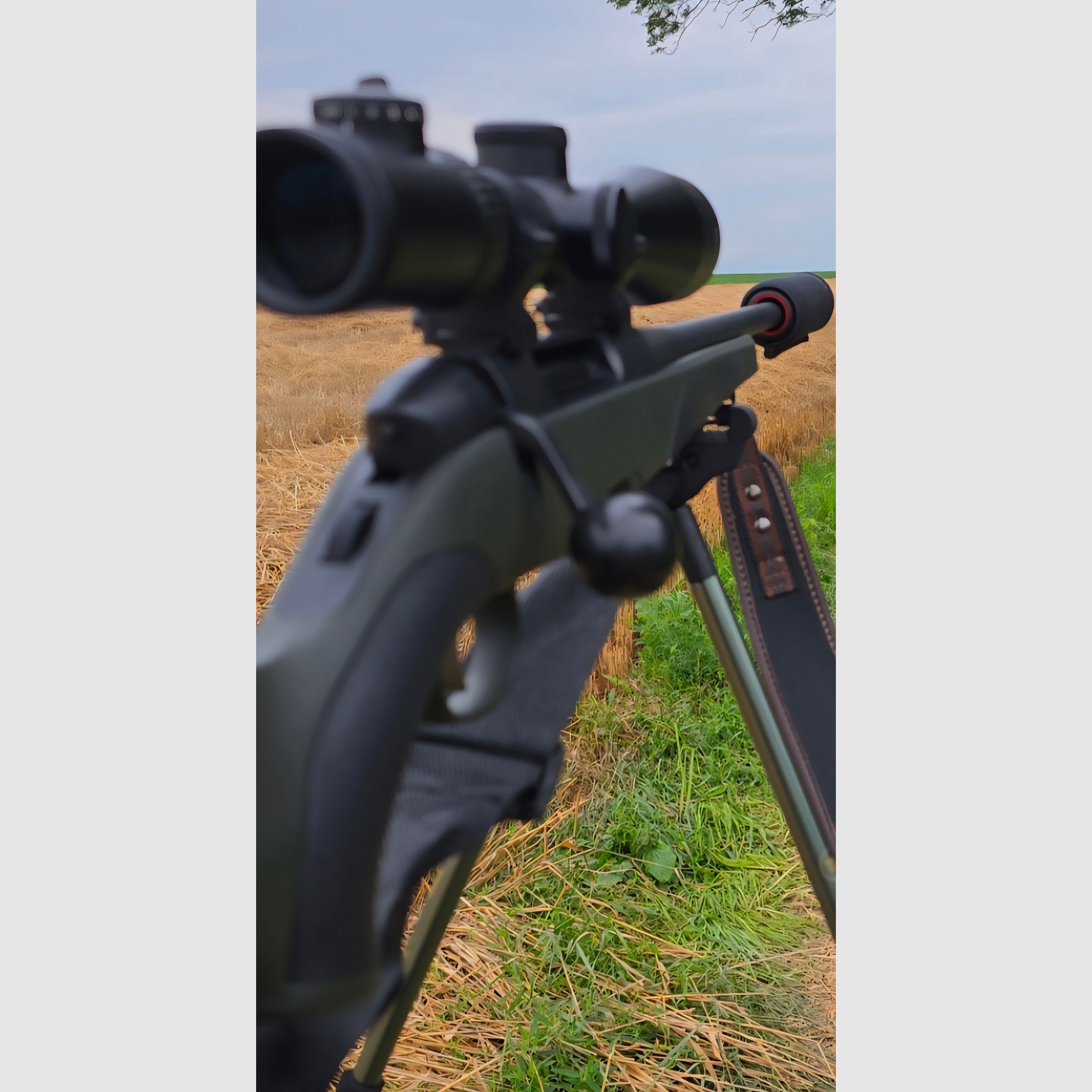 Mannlicher SM12 SX Goiserer