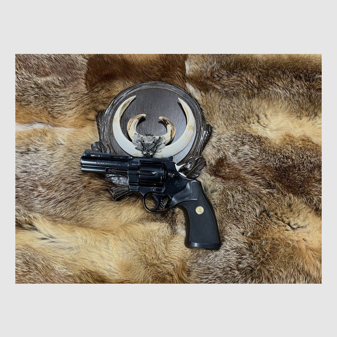 Colt Python