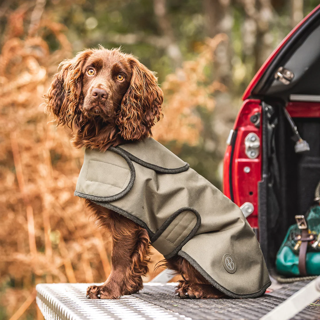 Dog Coat, billede 2 af 2