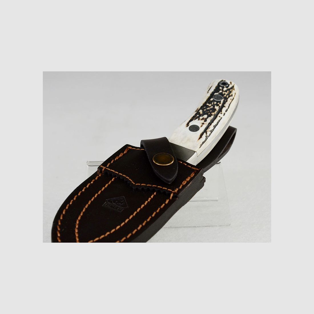 PUMA IP Cinghiale-STAG