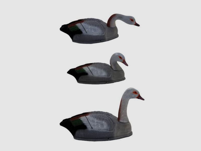 Geflockte Nilgans