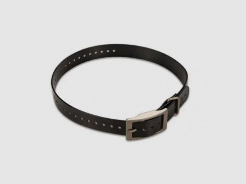 Garmin Alpha LTE + Halsband schwarz / SET!