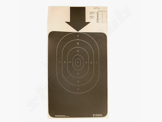 Pinnecke und Engelhardt 10 Zielscheiben BDMP PPC 1500